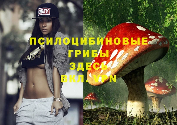 spice Абдулино