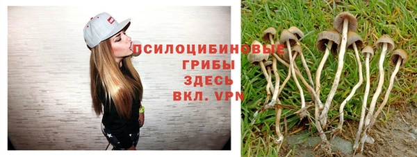 молекула духа Абаза