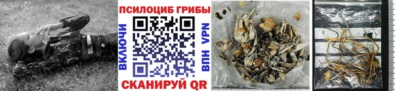 Галлюциногенные грибы GOLDEN TEACHER  kraken рабочий сайт  Альметьевск 